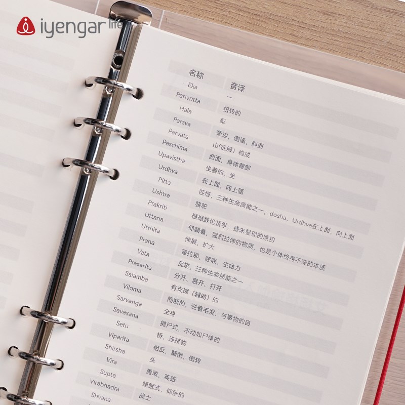 艾扬格Life 瑜伽A5活页笔记本 道林纸 大师语录 可更换内页 新品