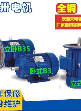 上海起重冶金变频电机YZP250M1-6YTSP250M1-6YTSZ250M1-637W