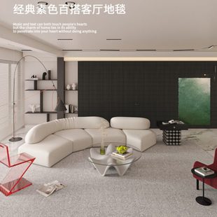 高级灰色现代简约免打理家用沙发地垫防水大地毯 地毯客厅2024新款