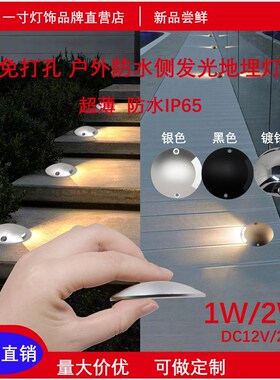 地埋灯led户外防水超薄室外小庭院侧发光步道景观龟背地灯免挖孔