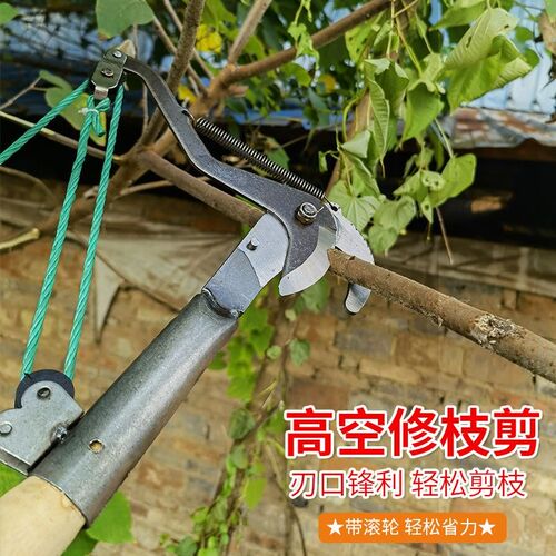 高枝剪高b空剪树枝剪采果剪 摘采果修枝剪刀树枝剪可伸缩加长杆剪