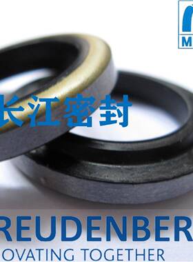 cfw德国油封AAS12-20-4/6骨架防尘圈欧洲标准德国进口密封件