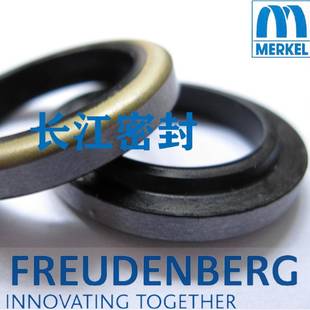 6骨架防尘圈欧洲标准德国进口密封件 cfw德国油封AAS12