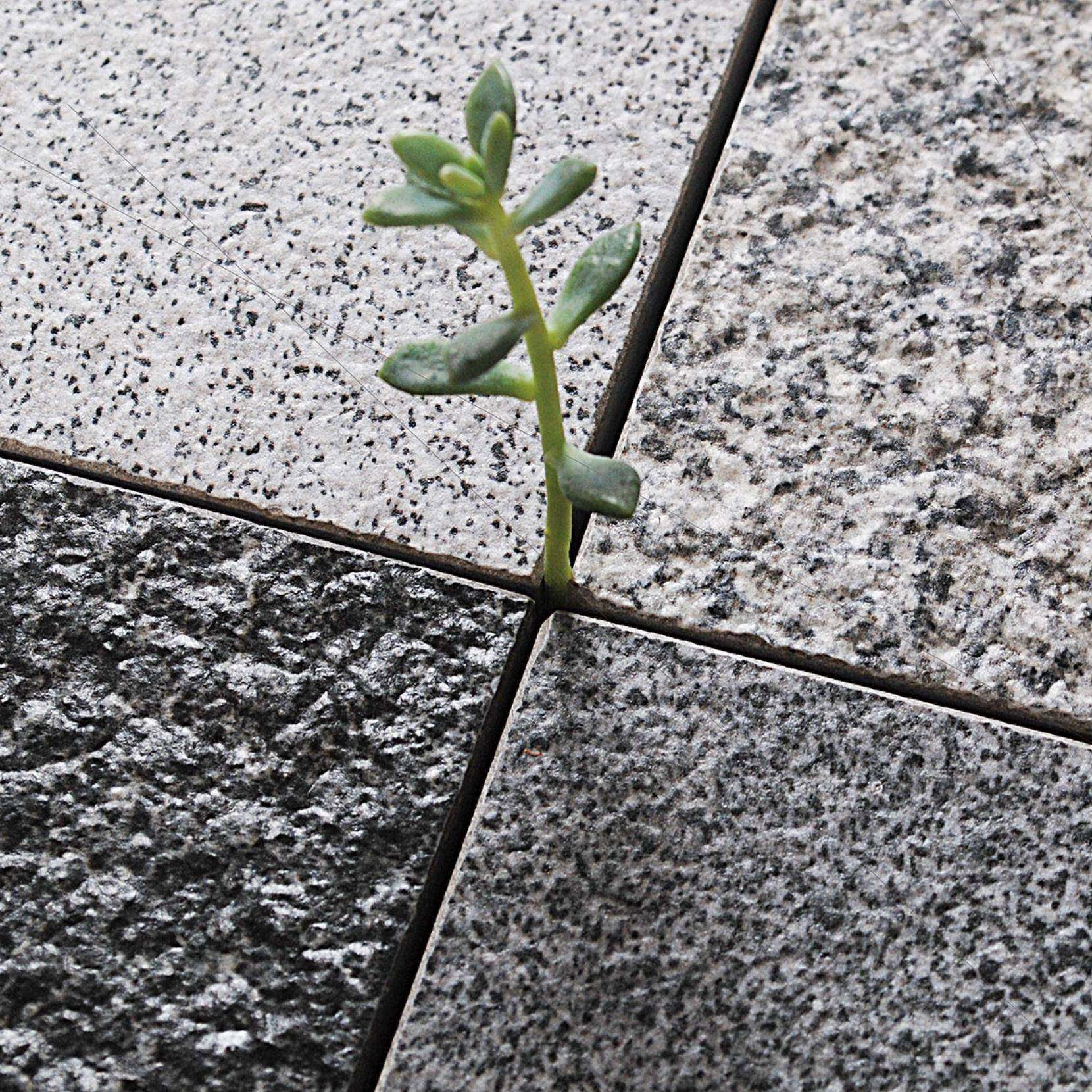 福建18厚生态地铺石陶瓷荔枝面水洗面pc仿石砖仿花岗岩石英砖厂家,家装主材,仿古砖（包括文化石）,淘宝优惠券,粉丝福利购,淘宝优惠卷