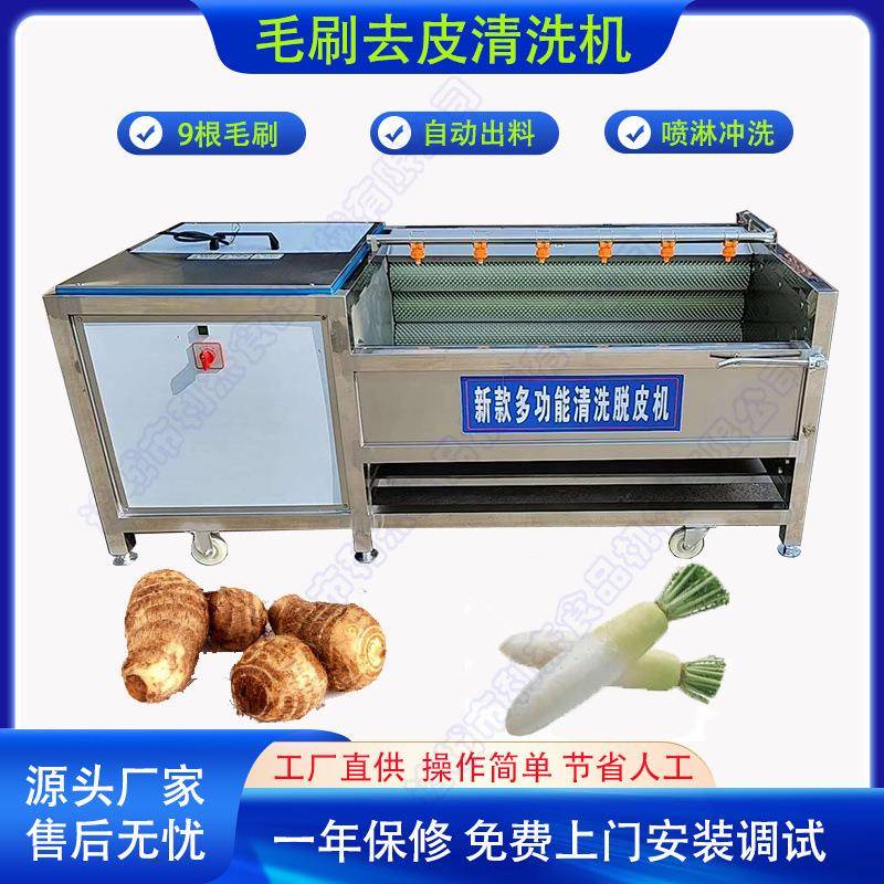 供应红薯清洗去皮机白萝卜毛辊清洗设备商用土豆去皮机自动