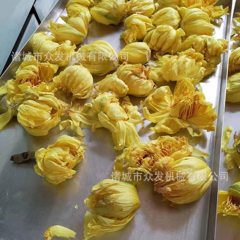 茶叶用冷冻干燥机花蕾真空冻干机鲜花真空冻干设备现货试机