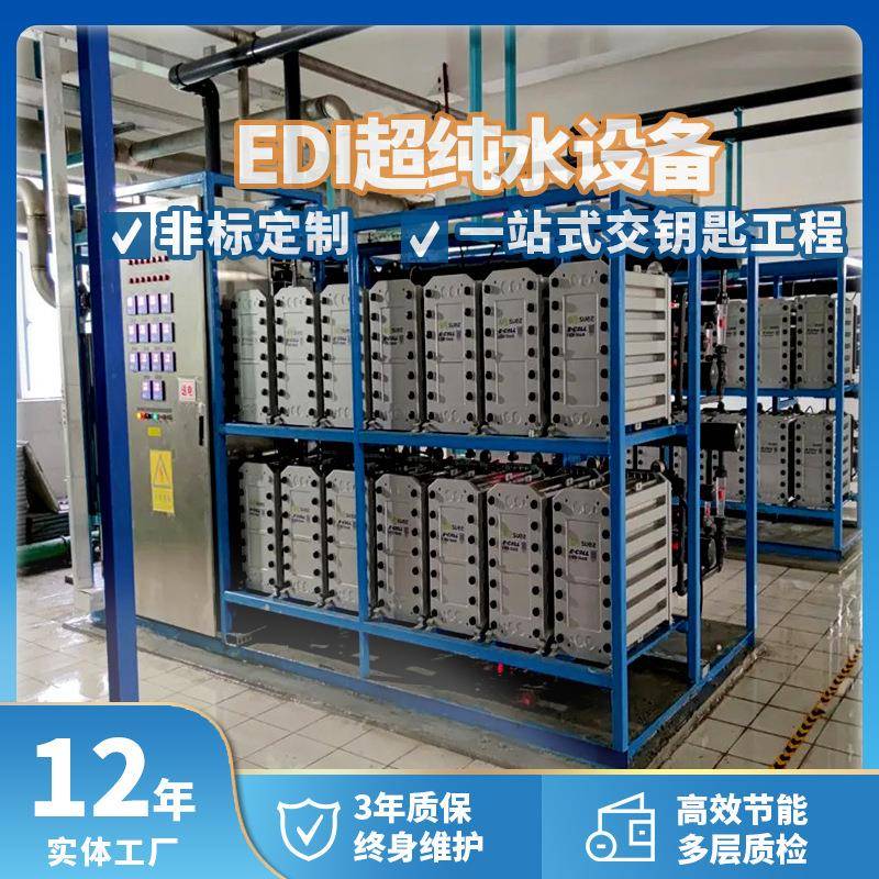 双级反渗透水处理系统工业EDI超纯水设备一体化超纯水装置厂家