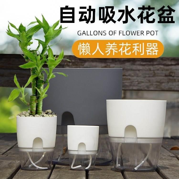 懒自动吸水盆塑料盆仿绿萝箩多肉室内水培盆