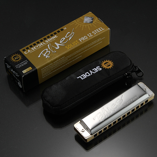 赛德DL 孔单音全音阶口琴oli o 升级款 钢簧片