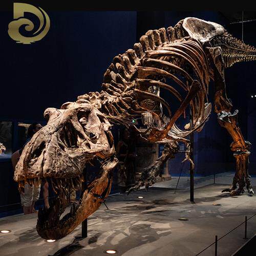 大型景观仿真霸王龙玻璃钢骨架室内博物馆恐龙骨骼化石展览雕塑