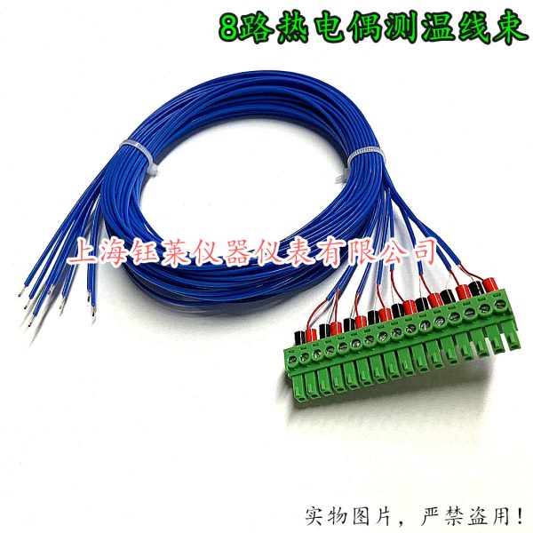 四氟K型铁氟龙热电偶测温线 适用MT-X多路温度记录巡检采集仪