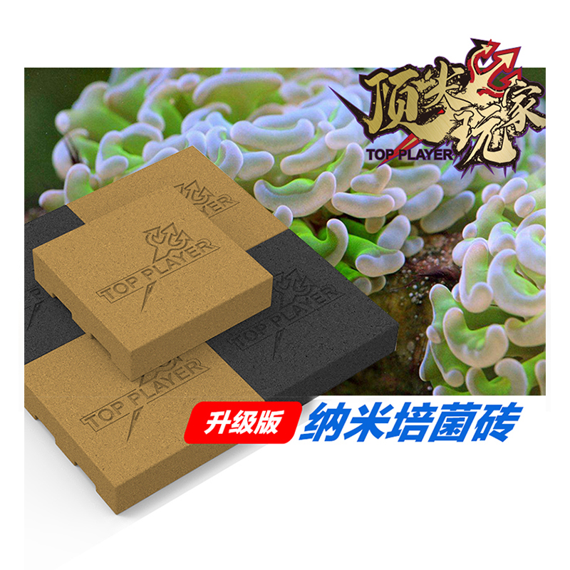 顶玩家神砖滤材纳米砖配菌神砖高透水淡海水硝化细菌无PO4鱼缸