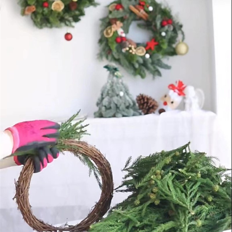 柳杉天竺少女圣诞树松树枝鲜切枝手工制作装饰圣诞花环圣诞节水养