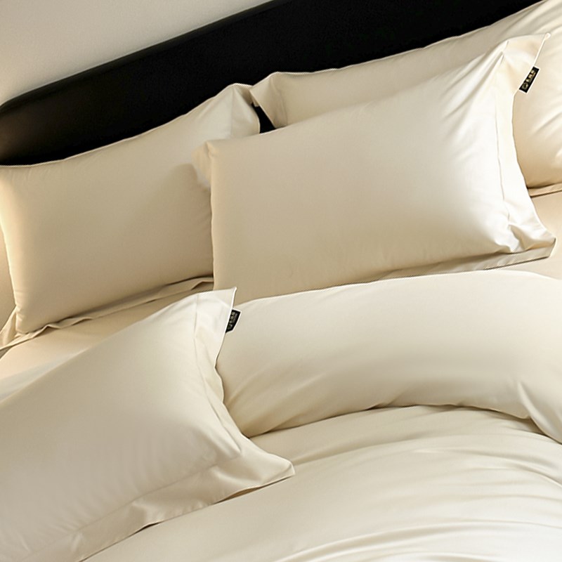 200支新疆长绒棉枕套一对装家用高级感枕头套全棉纯棉枕芯内胆套