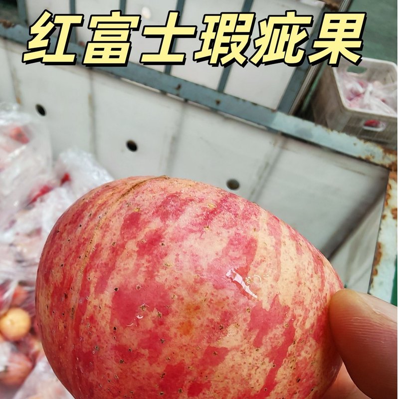 富士瑕疵果陕西白水富士苹果 轻微瑕疵不影响食用8.5斤大小混装