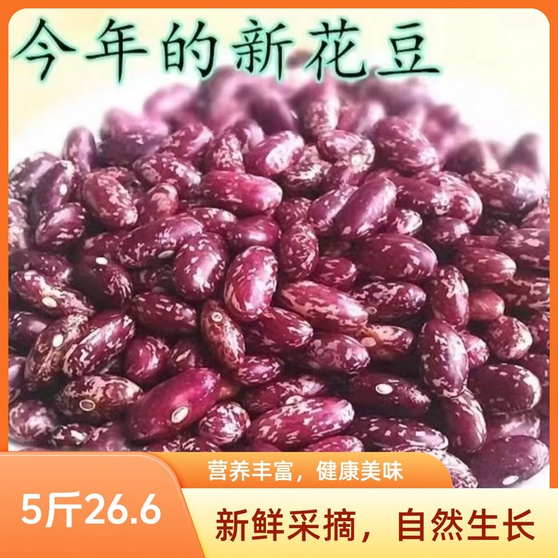 东北2025年10月份新豆新紫花芸豆饭豆腰豆五谷杂粮产地直发