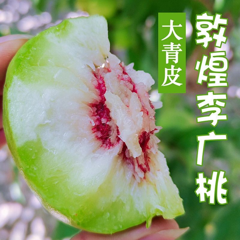 正宗敦煌李广桃大青皮新鲜现发甘肃当季桃子现摘