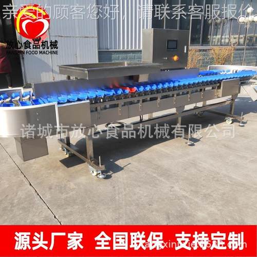 YVK海蛎机子分选称重机牡蛎白条鸡分选  分选 自动重秤量分拣机