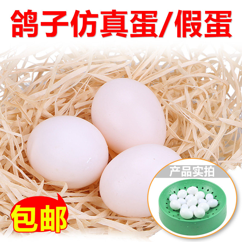仿真假鸽子蛋 注水实心鸽子假蛋鸽子用品 孵卵用品鸽子用具 引蛋