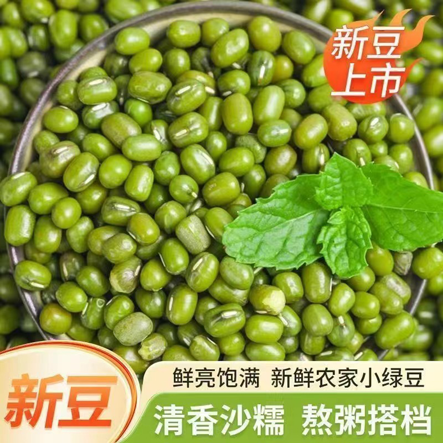 东北绿豆可发芽农家新货易出沙绿豆汤粥五谷杂粮绿豆糕点原料批发