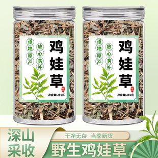 鸡娃草500g正品中药材官方旗舰店特级野生干货蓝雪草刺矾松