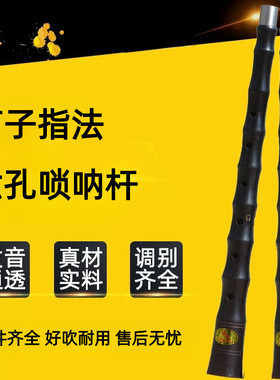 笛子指法唢呐杆黑檀乌木六孔d降调喇叭民间孔红白喜事大中小号