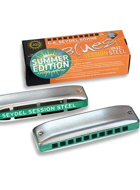 22款eydel布鲁斯十孔口琴eion teel夏日版 簧片