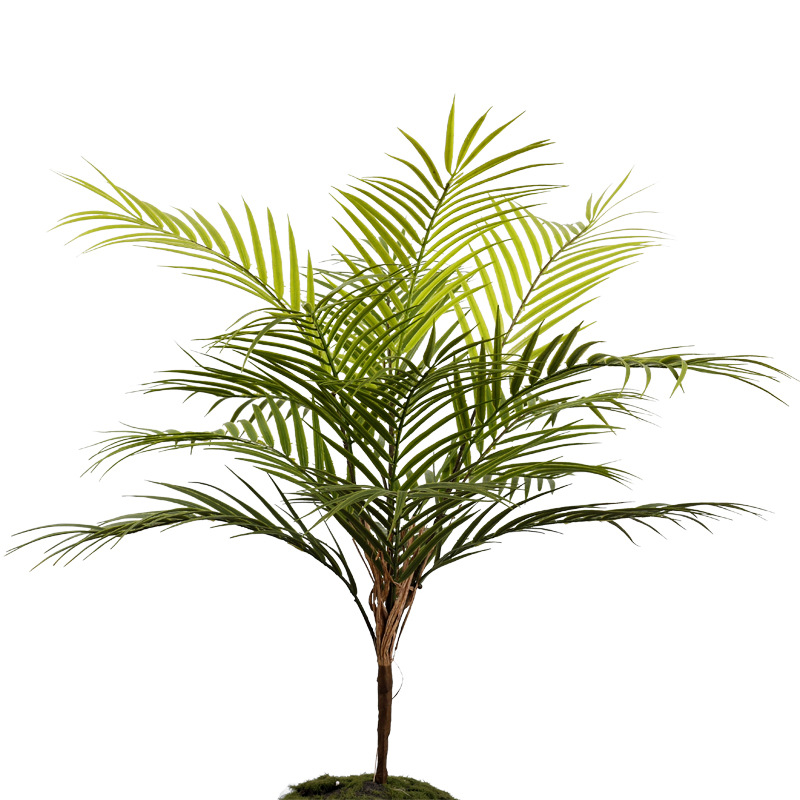 仿真绿植蕨类植物波斯蕨大叶蕨草客厅装饰假绿植墙面造景蕨类假草