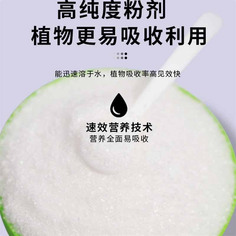 蓝莓生根粉植物通用生根壮苗树木移栽蓝莓盆栽强力生根剂