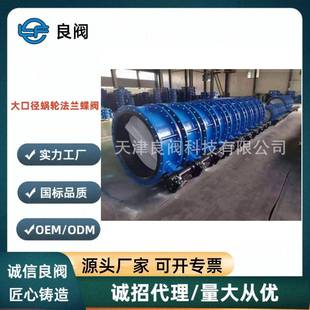 16Q阀门DN700大口径涡轮法兰蝶阀厂家 天津良阀D341X