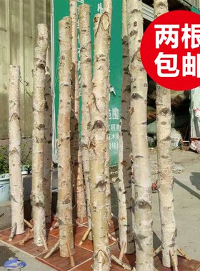 木板底板底座底座木板白桦树固定底座底板装饰树固定底座底板装饰