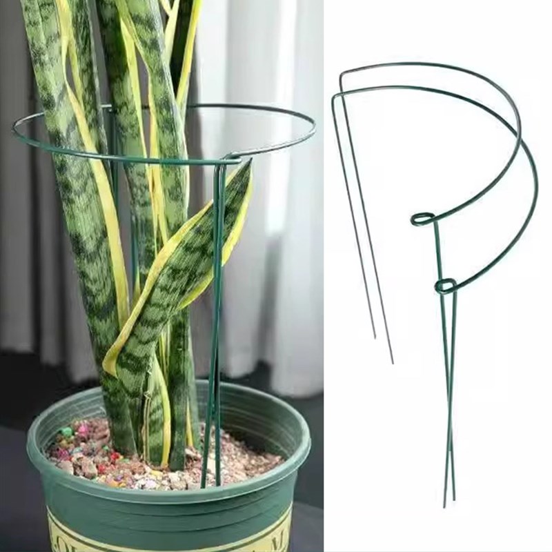 加粗花支撑架花架支撑杆爬藤植物固定架阳台花架稳固耐用防腐防锈图片