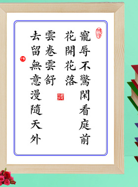 有志者事竟成苦心人天不负宠辱不惊书法挂画装饰字画座右铭摆台件