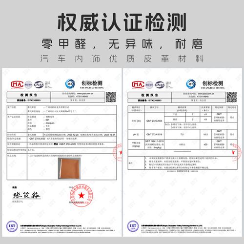 蓝电e5plus汽车用品专用头枕一对原厂腰靠套装内饰配件护颈枕靠背