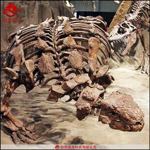 仿真甲龙骨架化石大型灭绝生物骨架模型定制动物骨骼展示模型