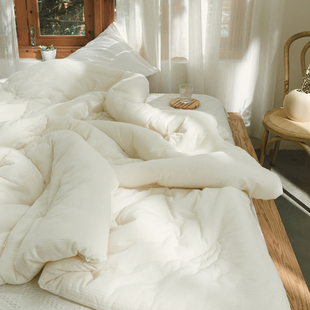 春天双人夏天春季 2三3四4斤5 薄款 纯棉被子春秋被芯空调夏凉被夏季