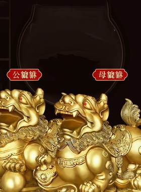 铜貔貅摆件纯黄铜皮丘一对办公室家用客厅汽车车内店铺开业礼品