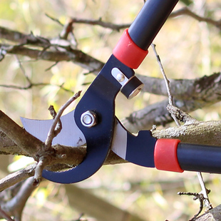 粗枝剪刀修剪果树大树枝剪刀园林工具园艺剪刀粗枝剪