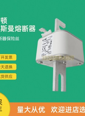 全新快速熔断器保险170M6068 170M6069 170M6070 170M6071