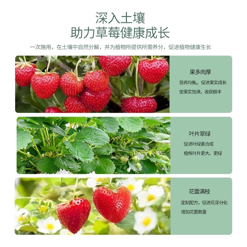 草莓专用肥料肥营养液家用盆栽有机肥料植物通用型生长坐果期瓜果