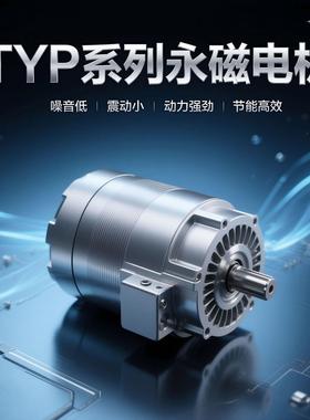 22kw1000转永磁交流电机TYP系列永磁变频调速电动机