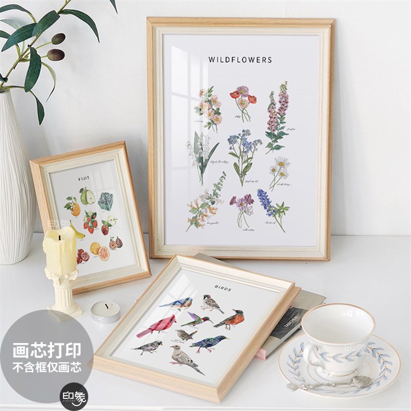 北欧风植物d花卉海报装饰画芯客厅餐厅卧室小清新挂画花店儿童房图片