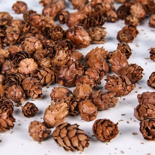 松果小落叶松果工DIY工u艺品手工吊灯挂价装饰品道具华北松花