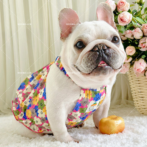 法斗衣服夏季薄款连衣裙棉卡通夏季狗狗背心斗牛犬小裙子