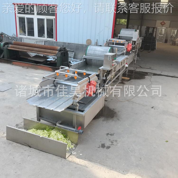 厂家直销洗菜机漩水果蔬菜气泡YOM清机 洗气 泡涡清洗机