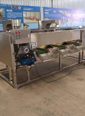 薯红滚杠式径分选机鲍鱼生蚝大分选小机直黄花鱼品RFJ质大小分级