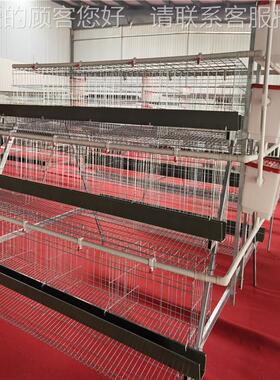 YPC养粗殖笼设备肉鸡笼 框架式加大笼 小鸡 饲喂设鸡备 鸡舍农业