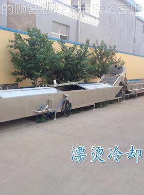 烫冷却机 SY-SY-40004000白芍漂烫 漂蔬菜蒸机煮漂烫却冷设备