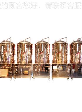 体精酿家用酿造设备 精酿啤啤配方 小型生产酒机械 原CSH浆分酒机