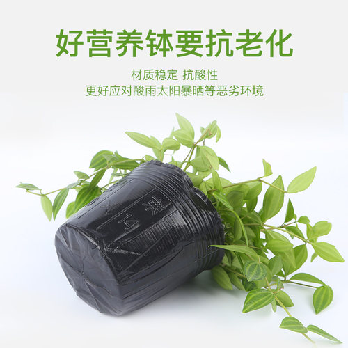 营养钵育苗盆营养袋营养杯育苗种植穴盆育苗杯一次性加厚塑料穴盘